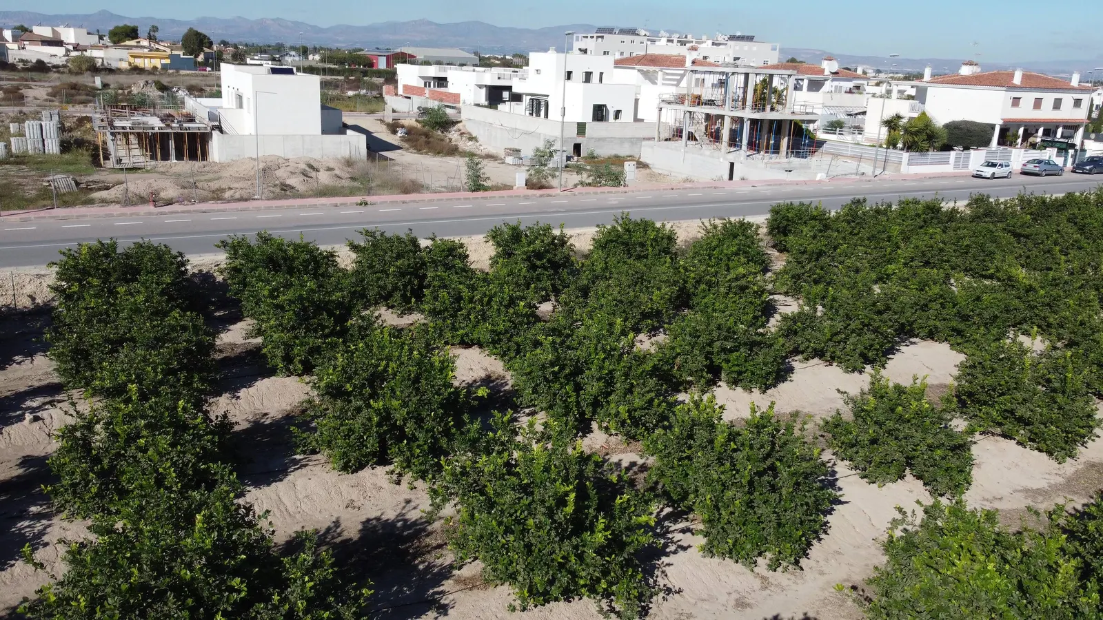 Villa in Daya Nueva — LVC-100052, photo 15