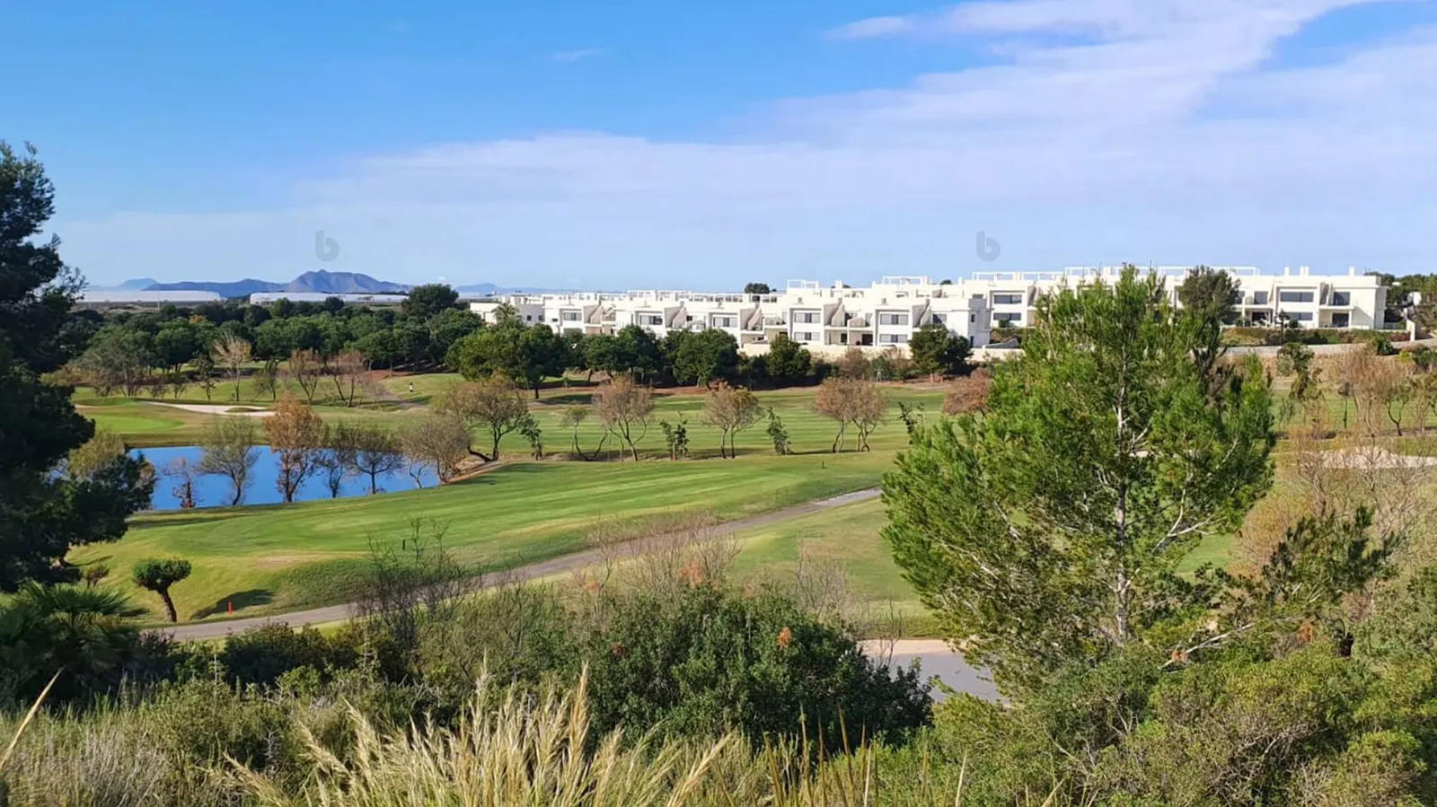 Huvila, Lo Romero Golf — LVC-100103, kuva 3