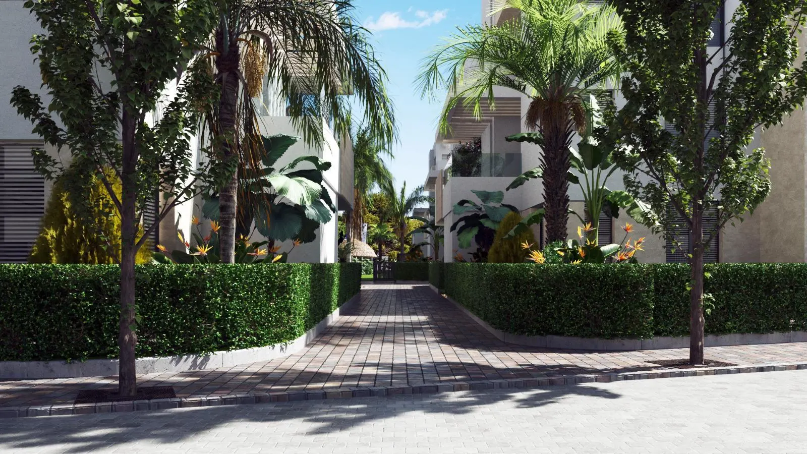 Apartment in Murcia — LVC-100257, photo 19
