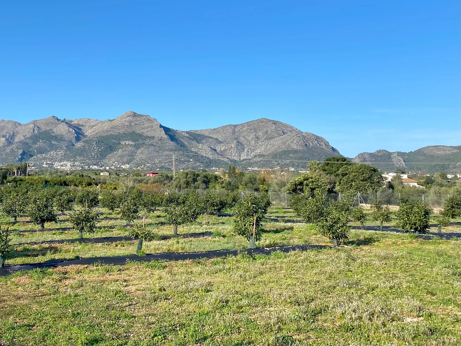 Villa in Monte Solana — LVC-100318, photo 3